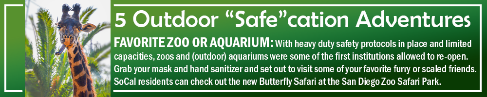 5 OUTDOOR SAFECATION ADVENTURES - FAVORITE ZOO OR AQUARIUM: With heavy duty safety protocols in place and limited capacities, zoos and (outdoor) aquariums were some of the first institutions allowed to re-open during the pandemic. Grab your mask and hand sanitizer and set out to visit some of your favorite furry or scaled friends. SoCal residents can check out the new Butterfly Safari at the San Diego Zoo Safari Park. 5 OUTDOOR SAFECATION ADVENTURES - FAVORITE ZOO OR AQUARIUM: With heavy duty safety protocols in place and limited capacities, zoos and (outdoor) aquariums were some of the first institutions allowed to re-open during the pandemic. Grab your mask and hand sanitizer and set out to visit some of your favorite furry or scaled friends. SoCal residents can check out the new Butterfly Safari at the San Diego Zoo Safari Park.