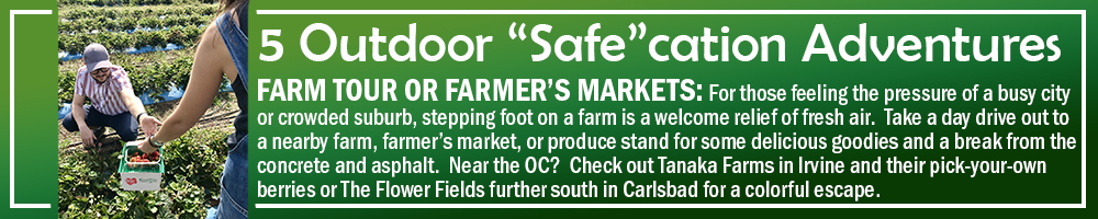 5 OUTDOOR SAFECATION ADVENTURES - FARM TOUR OR FARMERS MARKET: For those feeling the pressure of a busy city or crowded suburb, stepping foot on a farm is a welcome relief of fresh air. Take a day drive out to a nearby farm, farmer’s market, or produce stand for some delicious goodies and a break from the concrete and asphalt. Near Orange County? Check out Tanaka Farms in Irvine and their pick-your-own berries or The Flower Fields further south in Carlsbad for a colorful escape. 5 OUTDOOR SAFECATION ADVENTURES - FARM TOUR OR FARMERS MARKET: For those feeling the pressure of a busy city or crowded suburb, stepping foot on a farm is a welcome relief of fresh air. Take a day drive out to a nearby farm, farmer’s market, or produce stand for some delicious goodies and a break from the concrete and asphalt. Near Orange County? Check out Tanaka Farms in Irvine and their pick-your-own berries or The Flower Fields further south in Carlsbad for a colorful escape.